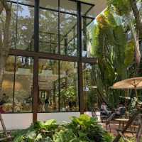 MiVana Organic Forest Coffee