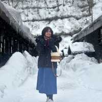 Nyuto Hot Spring Village 