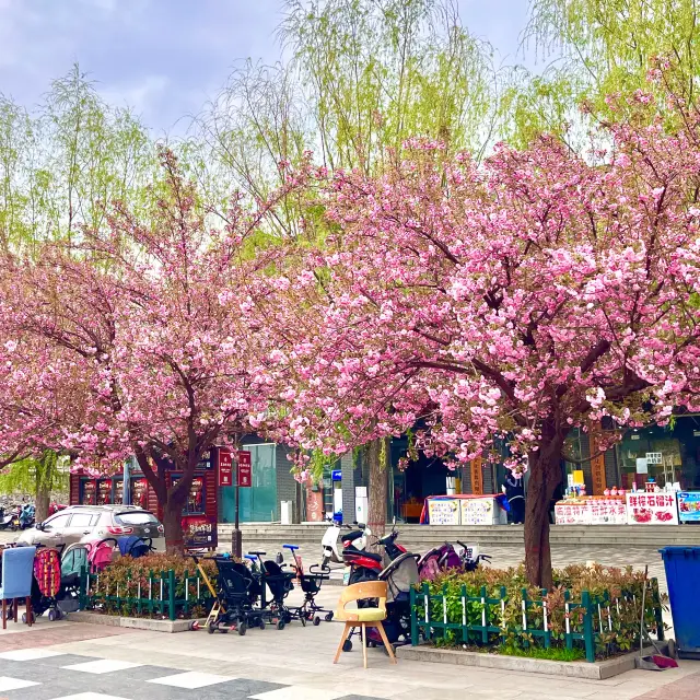 Exploring the Serene Gardens and Parks of Xian 🇨🇳