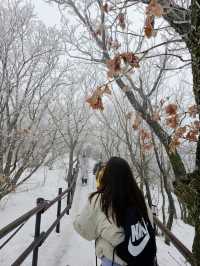 말그대로 겨울왕국❄️ 덕유산 눈꽃여행