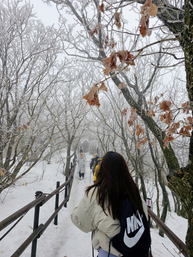 말그대로 겨울왕국❄️ 덕유산 눈꽃여행