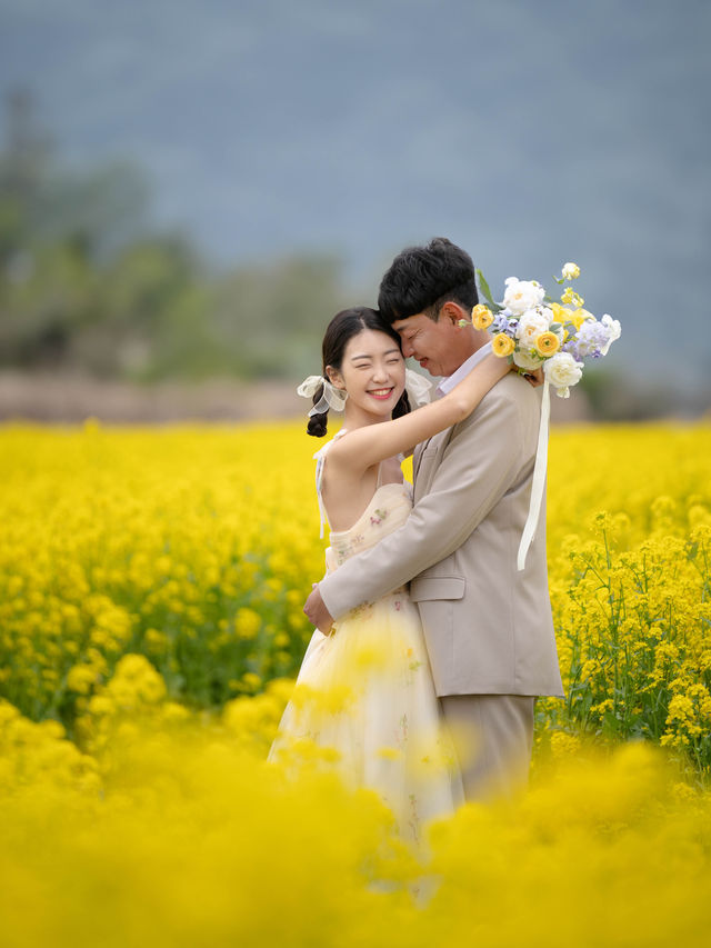 벚꽃과 유채가 함께 피는곳: 대저생태공원