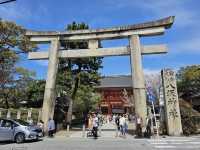 🌸【京都八阪神社⛩️】櫻花季限定優惠，春日必遊景點！