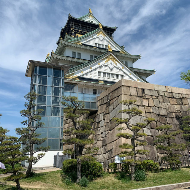 Hanami at Osaka Castle with Locals