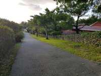 🌟ชมความรุ่งเรืองอาณาจักรริวกิวที่ Murasaki Mura