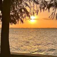 聖淘沙海灘：熱帶風情，海濱放鬆，黃昏欣賞夕陽