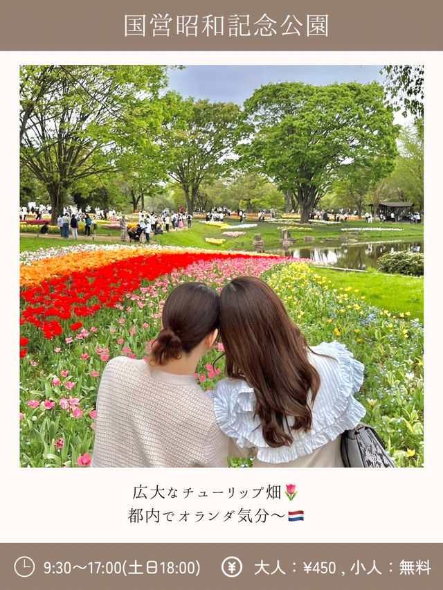 都内で自然感じるおでかけプラン〜ネモフィラ・チューリップ〜【立川】
