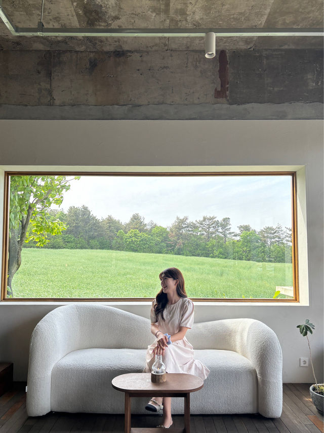청보리밭 액자뷰가 유명해서 꼭 가야하는 경주 숙소🥰