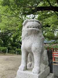 【北九州神社】八幡西区・黒崎地区を代表する神社
