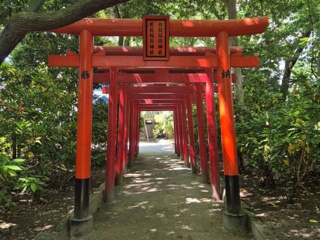 ⛩️일본 3대 스미요시 신사 중 하나인 후쿠오카 스미요시 신사⛩️