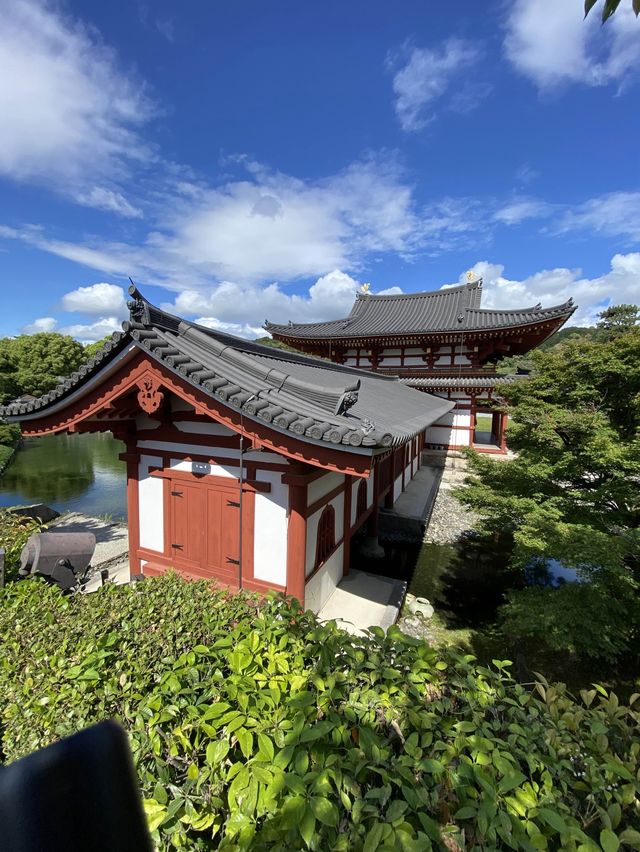 【京都】晴れの日の平等院鳳凰堂