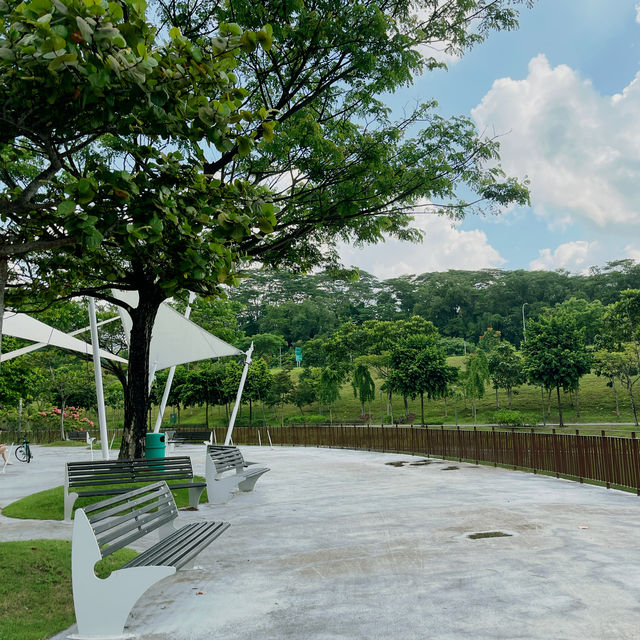 Unwind and Unplug: Punggol Park Connector's Nature Escape