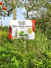 Durian BB & the Biggest Durian Replica