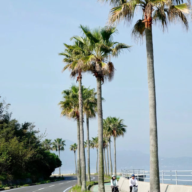 南千倉海岸：極致視覺衝擊力