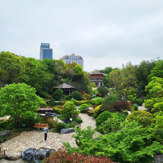 上汐公園：春季粉紅櫻花，享受大自然的美好