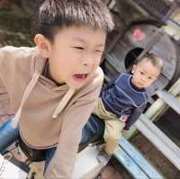苗栗銅鑼 莫內的秘密花園 童趣鄉村