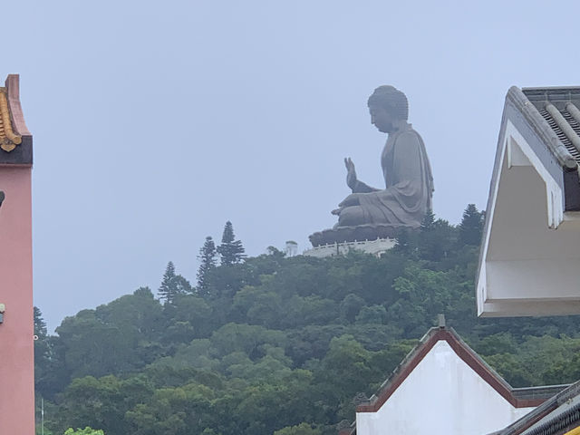 【2024春】昂坪寶蓮寺：仙境般幽雅，許願樹祈福