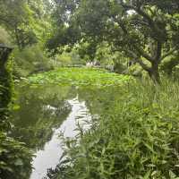 Suzhou Garden Adventure