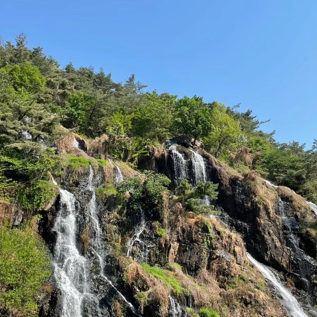 「日本鍋瀑布公園：春日浪漫，心靈寧靜」