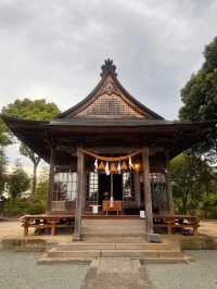 【大分神社】神社の女将さん自らデザインする花手水が美しい