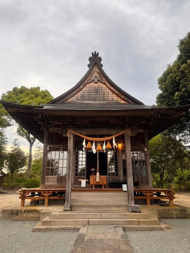 【大分神社】神社の女将さん自らデザインする花手水が美しい