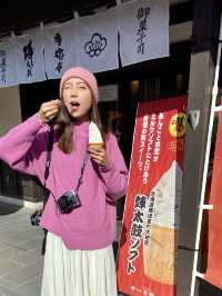 熊本城超好玩！超好拍攻略！