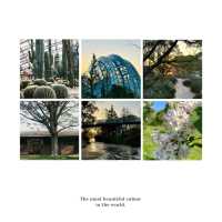 【日本】萬葉植物園：自然美景，充實愉快時光