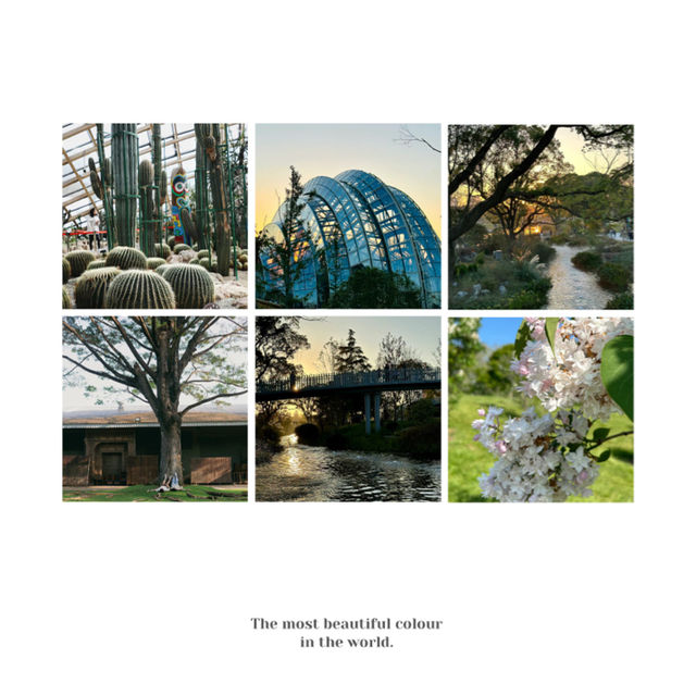 【日本】萬葉植物園：自然美景，充實愉快時光