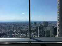 俯瞰東京：白天的展望台與夜晚的光影魅力