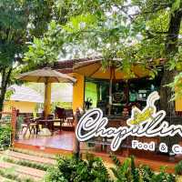 แจกพิกัด คาเฟ่ที่มีน้องช้าง สันกำแพง เชียงใหม่