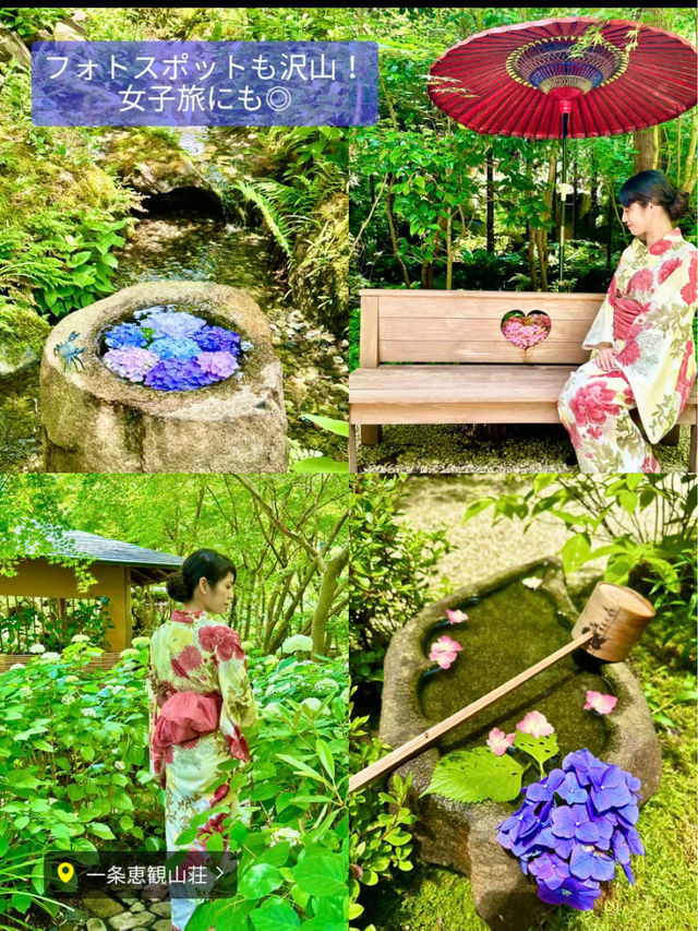 〜神奈川県〜穴場〜ライトアップまで！紫陽花スポット6選！
