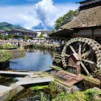 Serene Escape: Exploring Oshino Hakkai's Natural Beauty