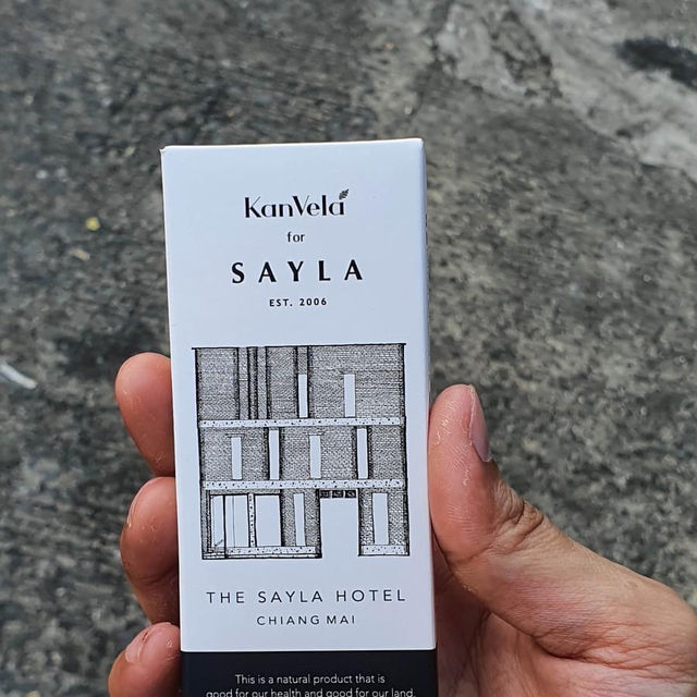 The Sayla Hotel