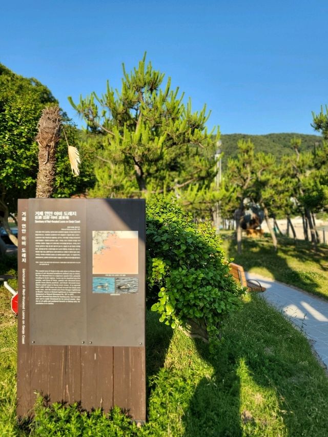 올여름휴가는 거제 와현해수욕장🏖