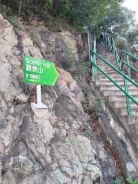 最佳數飛機地點- 觀景山