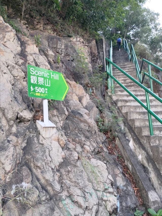 最佳數飛機地點- 觀景山