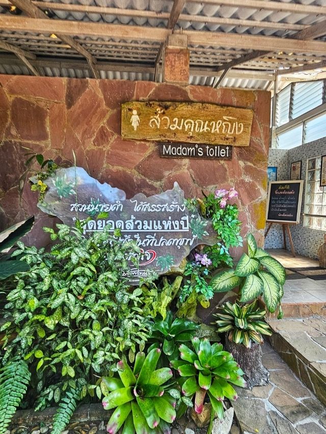 สวนนายดำ