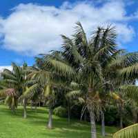 🌴 Discover the Serenity of Lord Howe Island