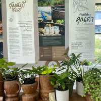 MiVana Coffee คาเฟ่ป่าในเมือง