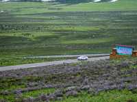 Litang Grassland: A Vast Expanse of Serene Beauty