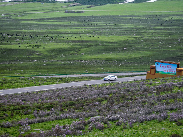 Litang Grassland: A Vast Expanse of Serene Beauty