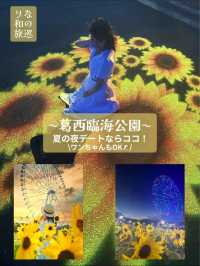 〜東京都〜ライトアップも楽しめるひまわり畑🌻