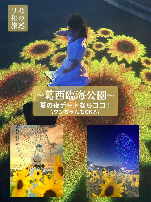 〜東京都〜ライトアップも楽しめるひまわり畑🌻
