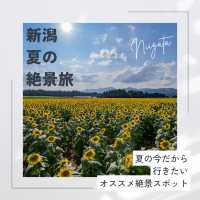新潟　夏の絶景旅！
