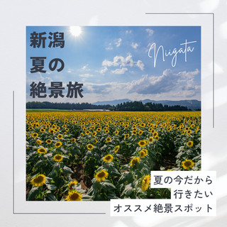 新潟 夏季絕景之旅!