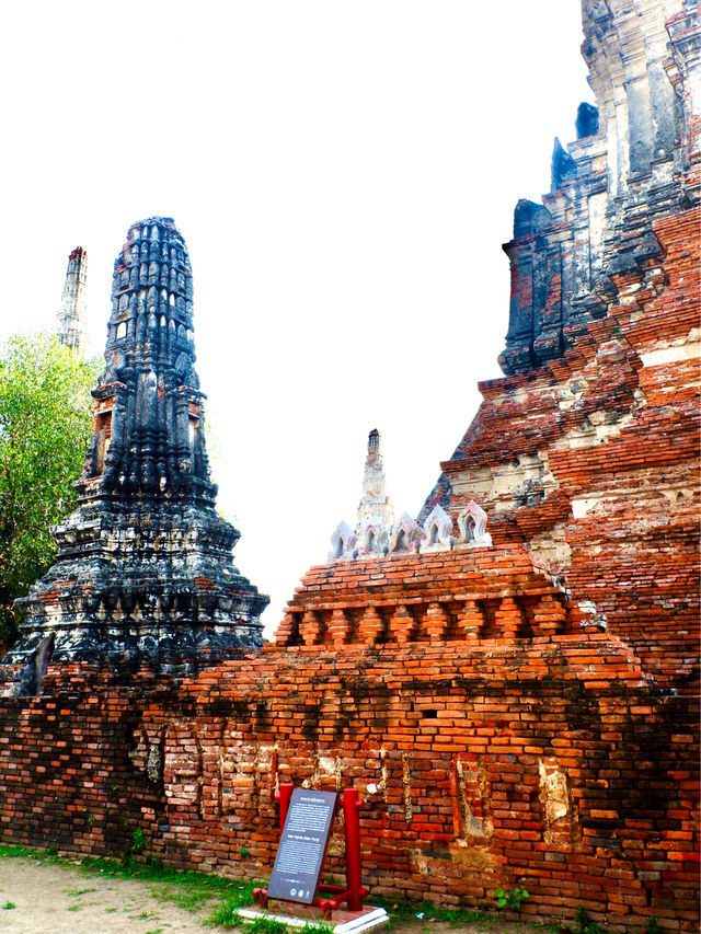 A Stunning Buddhist Temple You Must Visit‼️🇹🇭