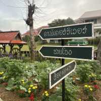 หน้าหนาวที่เชียงคาน