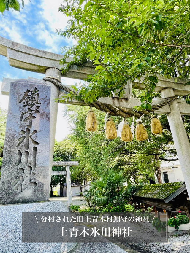 【上青木氷川神社/埼玉県】分村された旧上青木村鎮守の神社