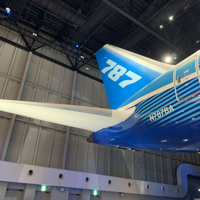 飛行機丸ごと体験できる？！