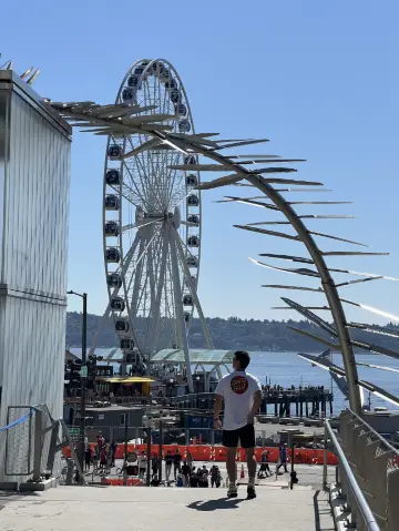 The Beauty of Seattle, USA